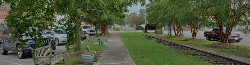 Town of wallace planning community development